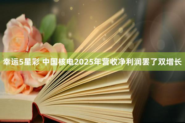 幸运5星彩 中国核电2025年营收净利润罢了双增长